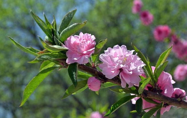 16年春节最底气温寒流_扬州今年过年天气会冷吗