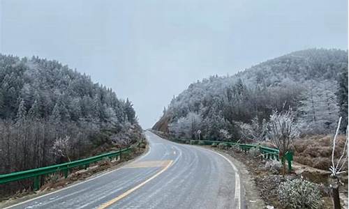 冰雪天气道路_冰雪天气路面菊花