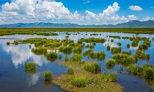 四川花湖天气15天_四川花湖天气15天