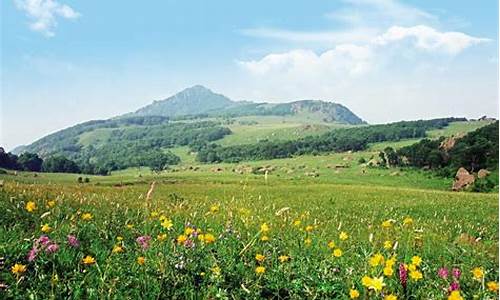 门头沟百花山天气预报15天查询_门头沟百花山天气预报