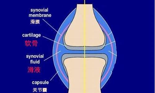 天气热手指膝盖胀麻_手发麻膝盖发麻